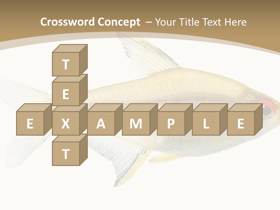 Hyphessobrycon Bentosi Fish In Front Of A White Background PowerPoint Template