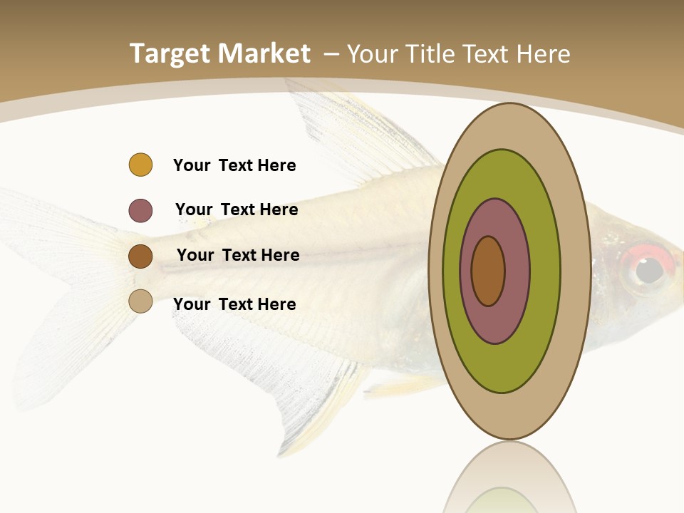 Hyphessobrycon Bentosi Fish In Front Of A White Background PowerPoint Template