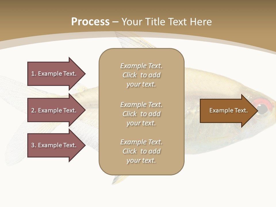 Hyphessobrycon Bentosi Fish In Front Of A White Background PowerPoint Template