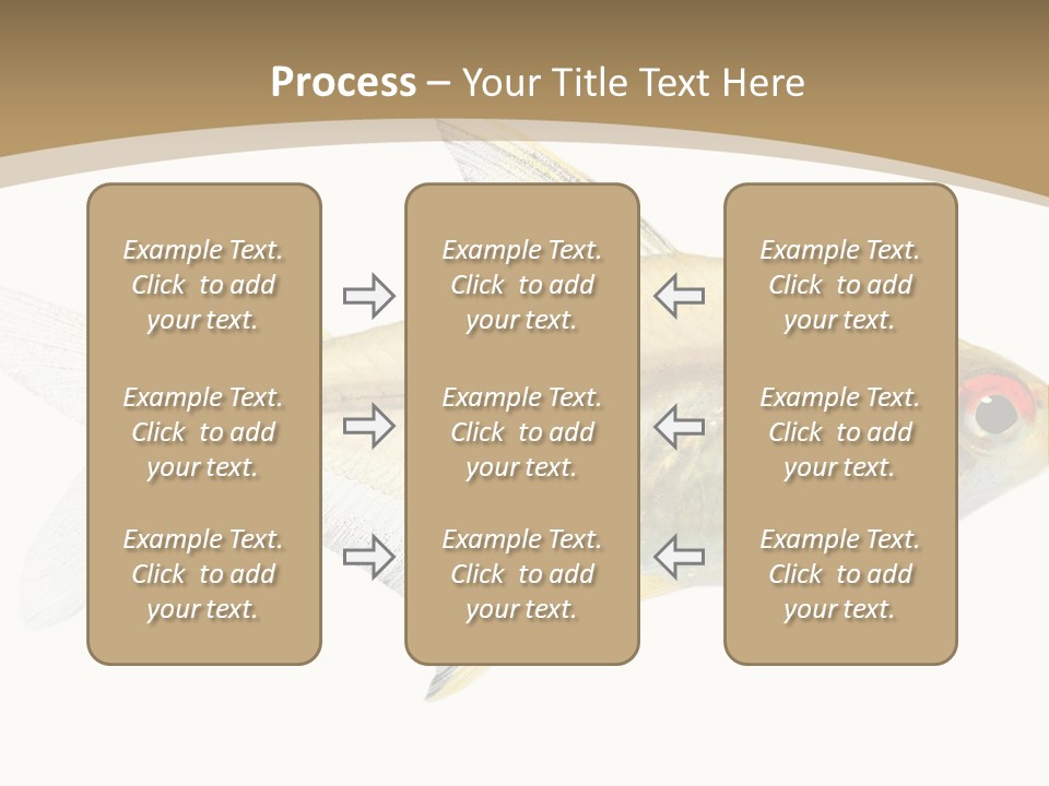 Hyphessobrycon Bentosi Fish In Front Of A White Background PowerPoint Template