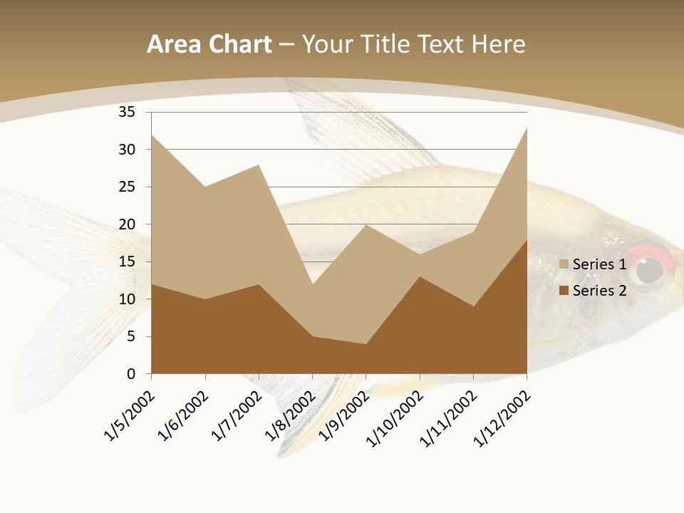 Hyphessobrycon Bentosi Fish In Front Of A White Background PowerPoint Template