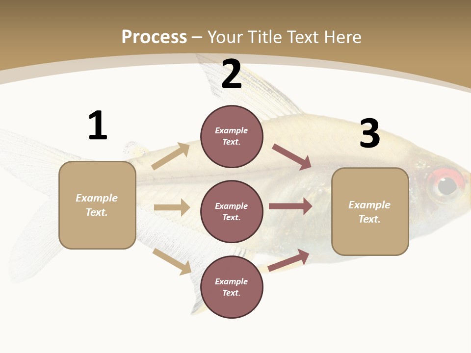 Hyphessobrycon Bentosi Fish In Front Of A White Background PowerPoint Template