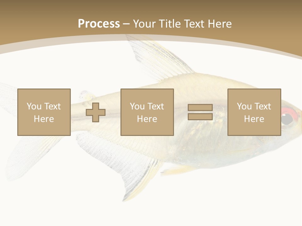 Hyphessobrycon Bentosi Fish In Front Of A White Background PowerPoint Template