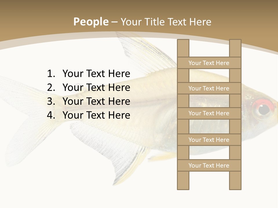 Hyphessobrycon Bentosi Fish In Front Of A White Background PowerPoint Template