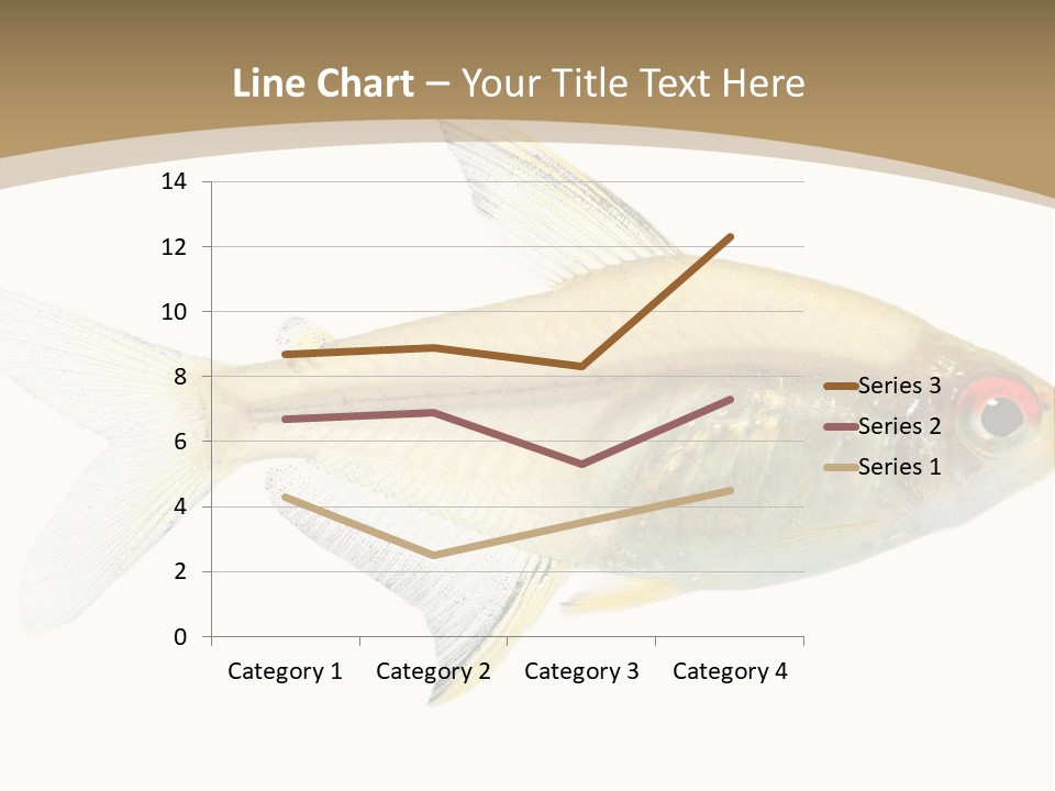 Hyphessobrycon Bentosi Fish In Front Of A White Background PowerPoint Template