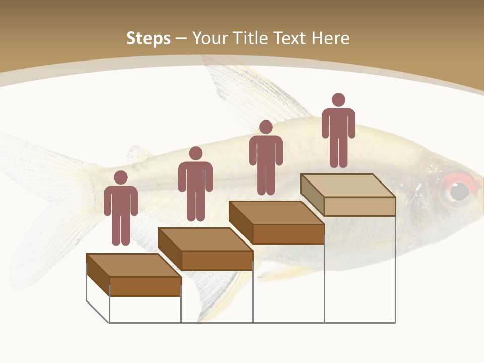 Hyphessobrycon Bentosi Fish In Front Of A White Background PowerPoint Template