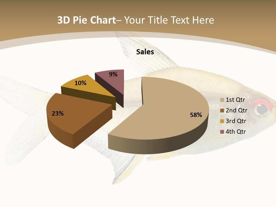 Hyphessobrycon Bentosi Fish In Front Of A White Background PowerPoint Template
