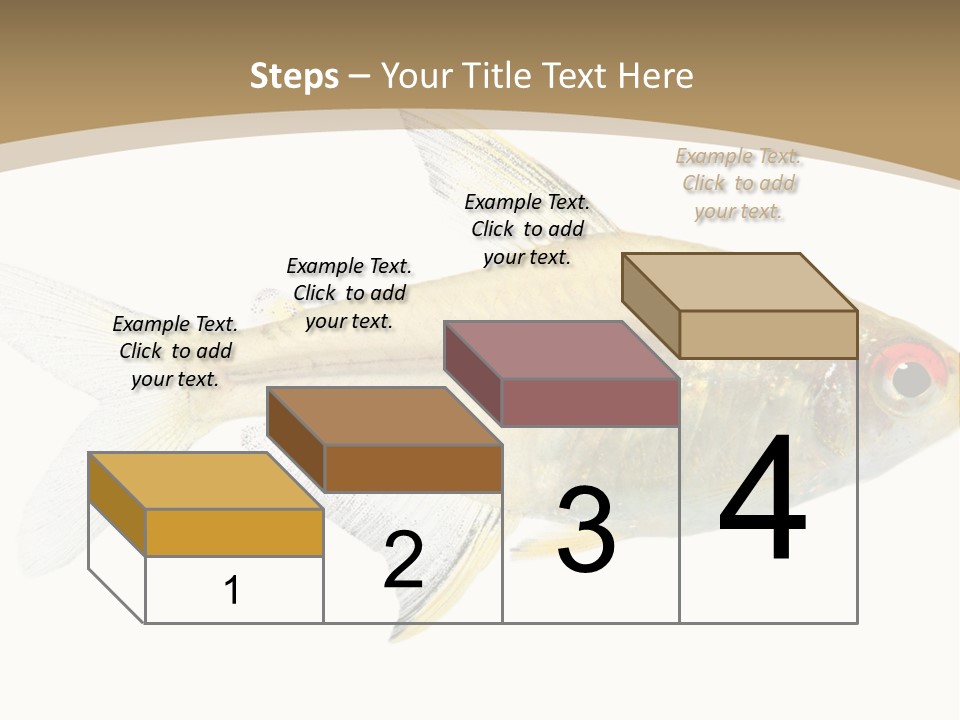 Hyphessobrycon Bentosi Fish In Front Of A White Background PowerPoint Template