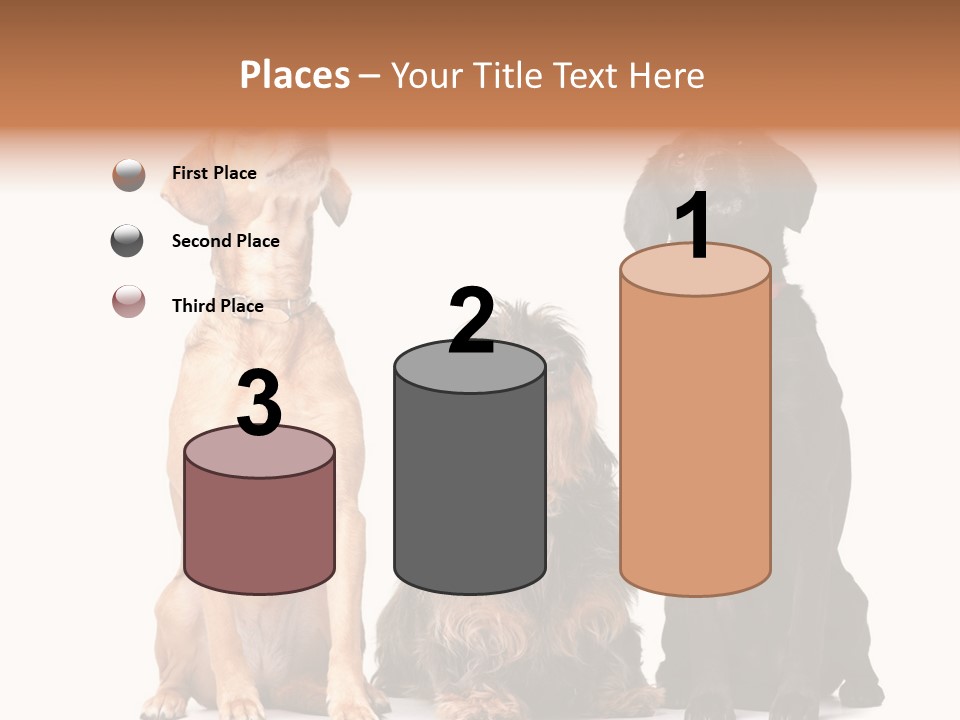 Juvenile California Condor PowerPoint Template