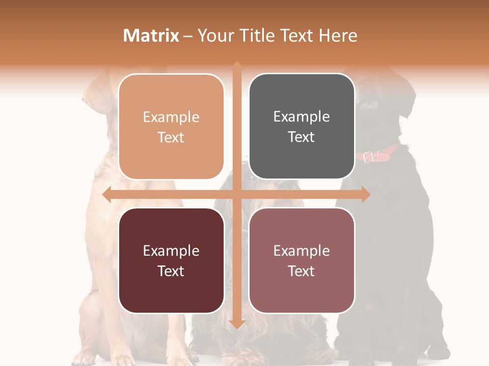 Juvenile California Condor PowerPoint Template