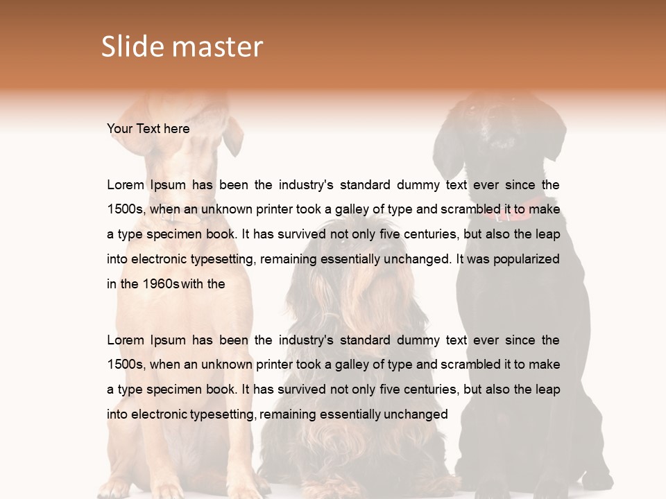 Juvenile California Condor PowerPoint Template