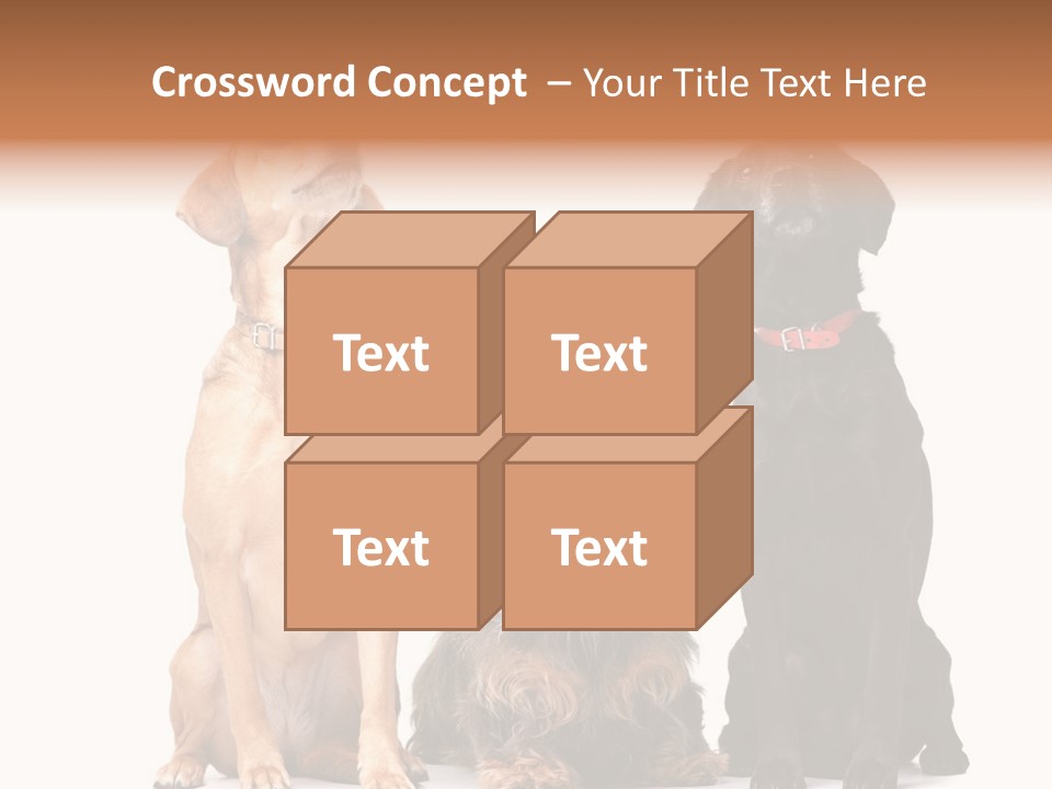 Juvenile California Condor PowerPoint Template