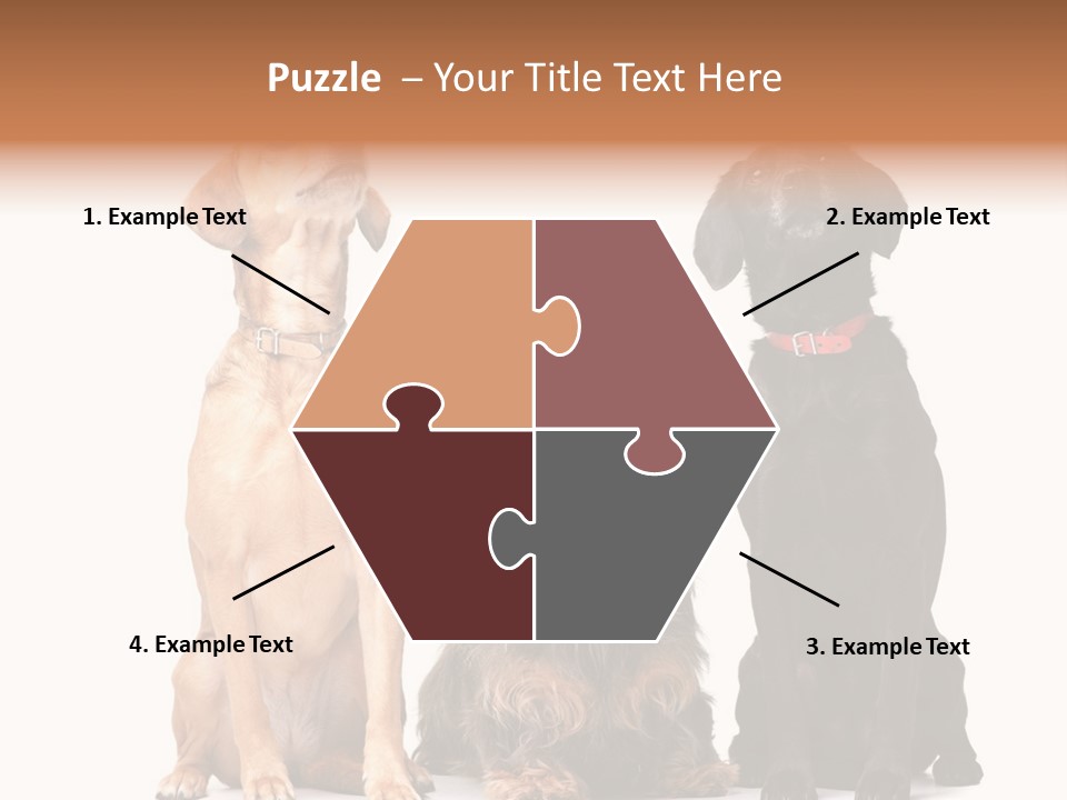 Juvenile California Condor PowerPoint Template