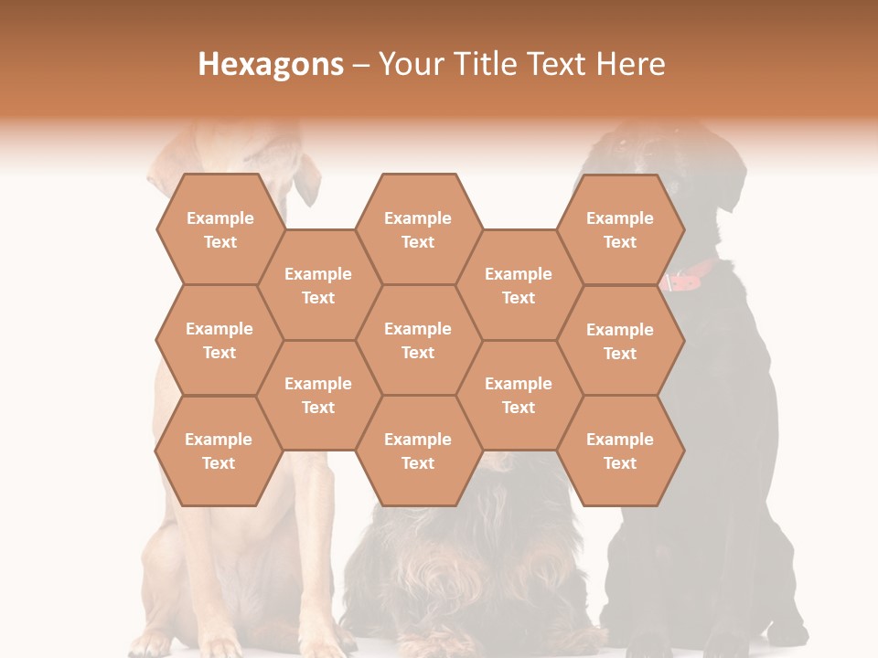 Juvenile California Condor PowerPoint Template