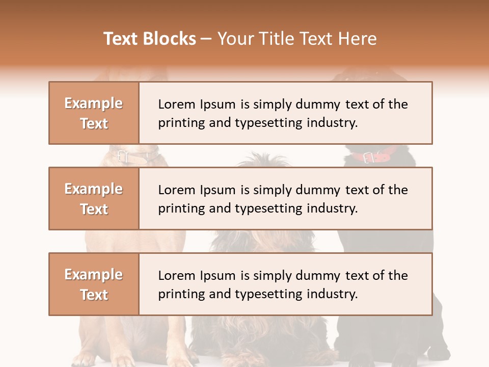 Juvenile California Condor PowerPoint Template