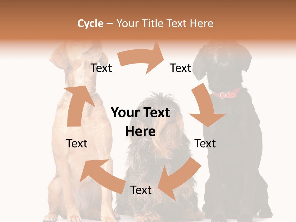 Juvenile California Condor PowerPoint Template