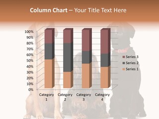 Juvenile California Condor PowerPoint Template