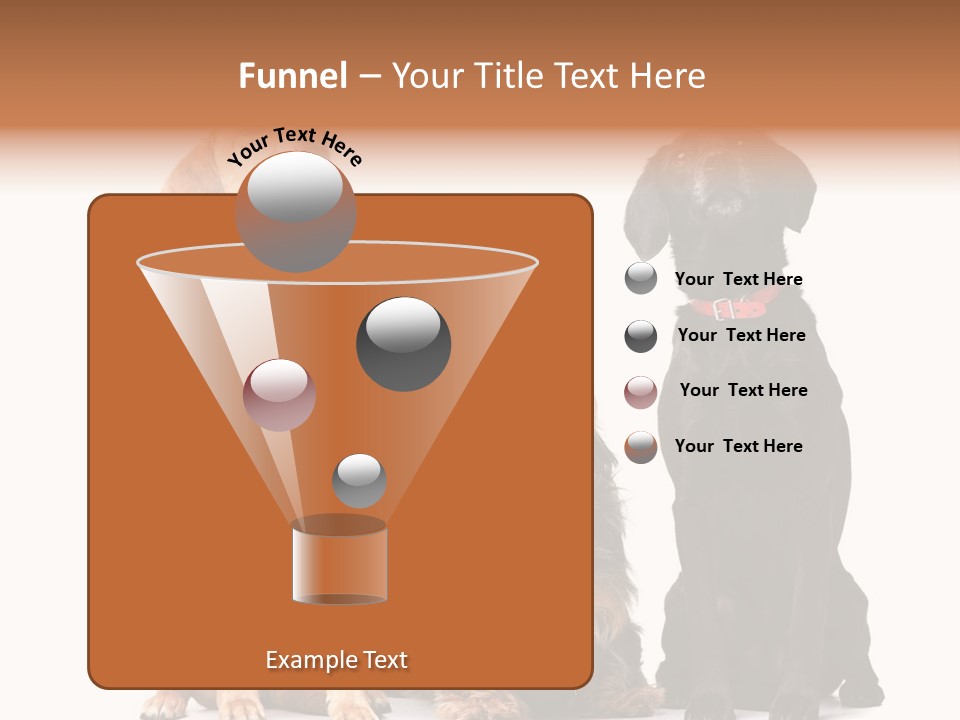 Juvenile California Condor PowerPoint Template