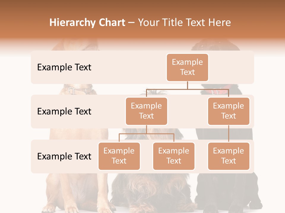 Juvenile California Condor PowerPoint Template
