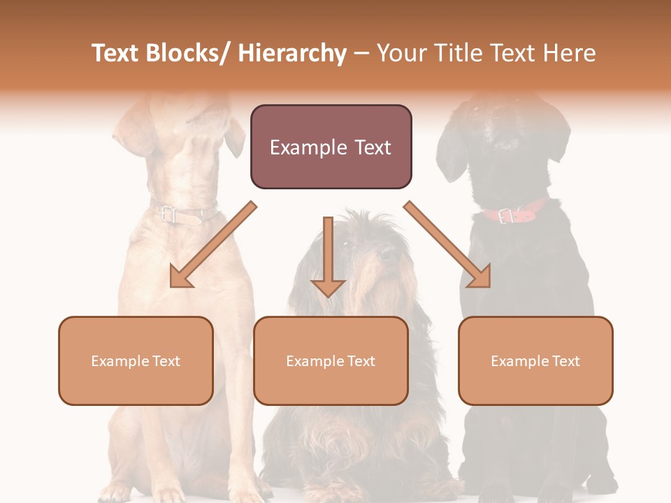 Juvenile California Condor PowerPoint Template