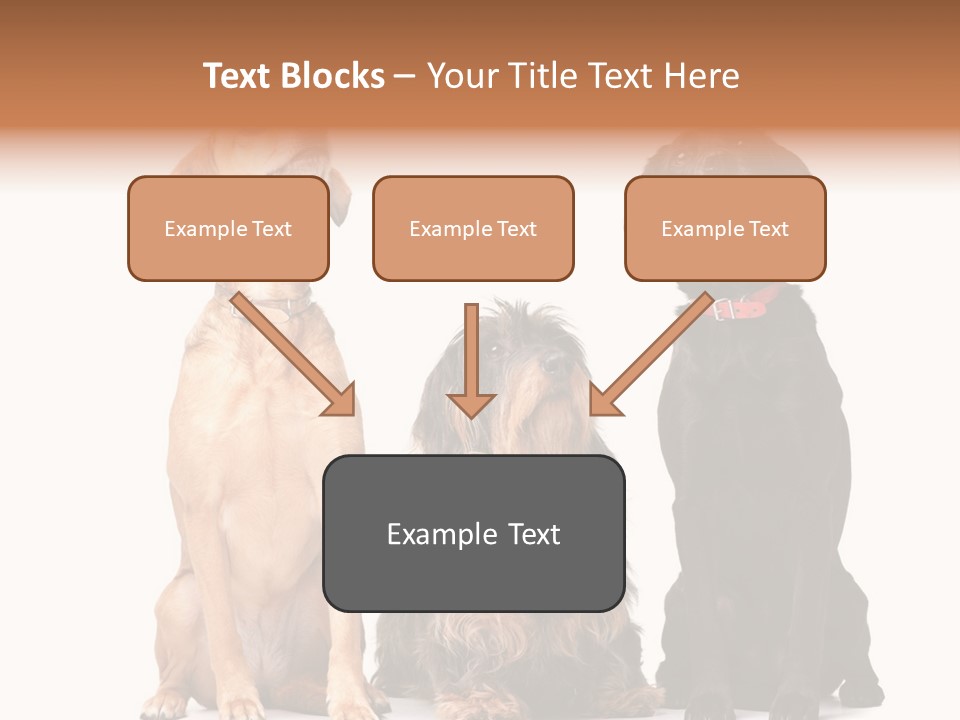 Juvenile California Condor PowerPoint Template
