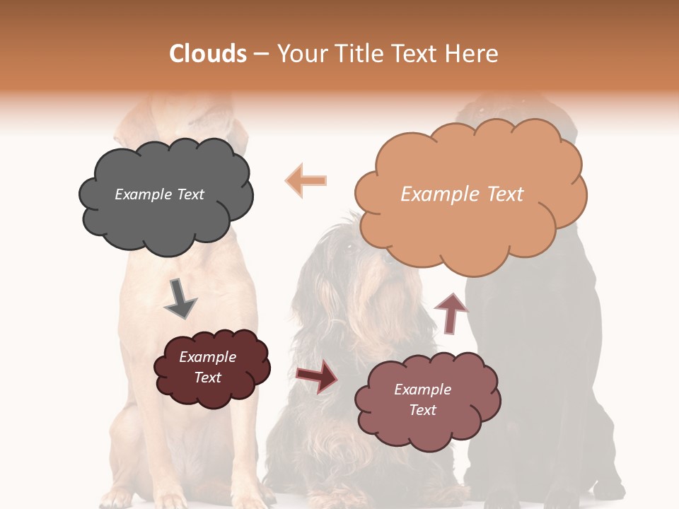 Juvenile California Condor PowerPoint Template