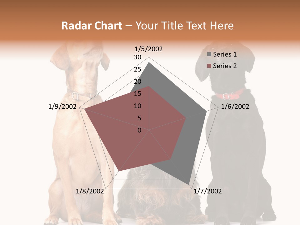 Juvenile California Condor PowerPoint Template
