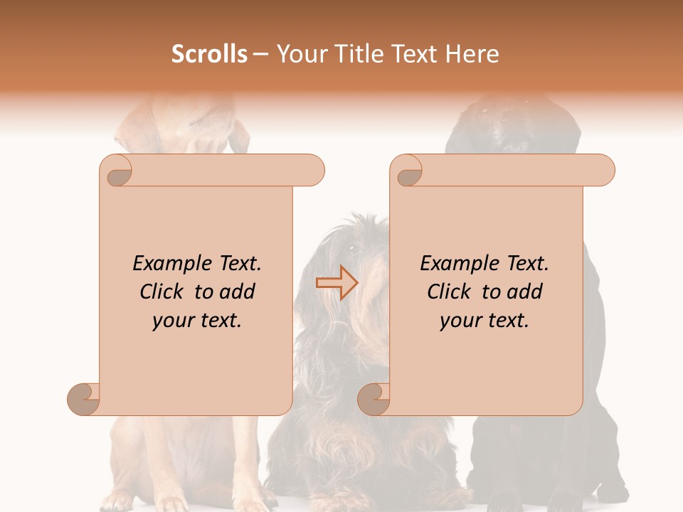 Juvenile California Condor PowerPoint Template