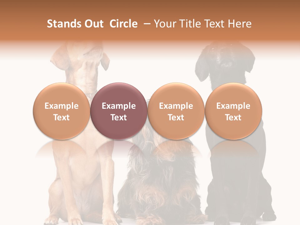 Juvenile California Condor PowerPoint Template