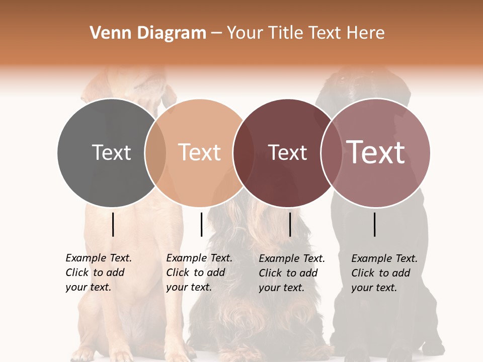 Juvenile California Condor PowerPoint Template