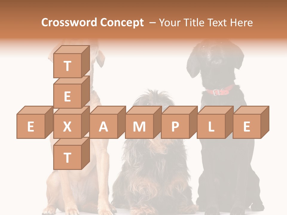 Juvenile California Condor PowerPoint Template