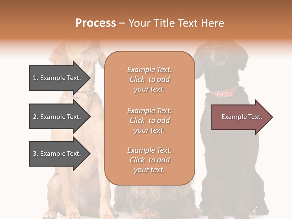 Juvenile California Condor PowerPoint Template