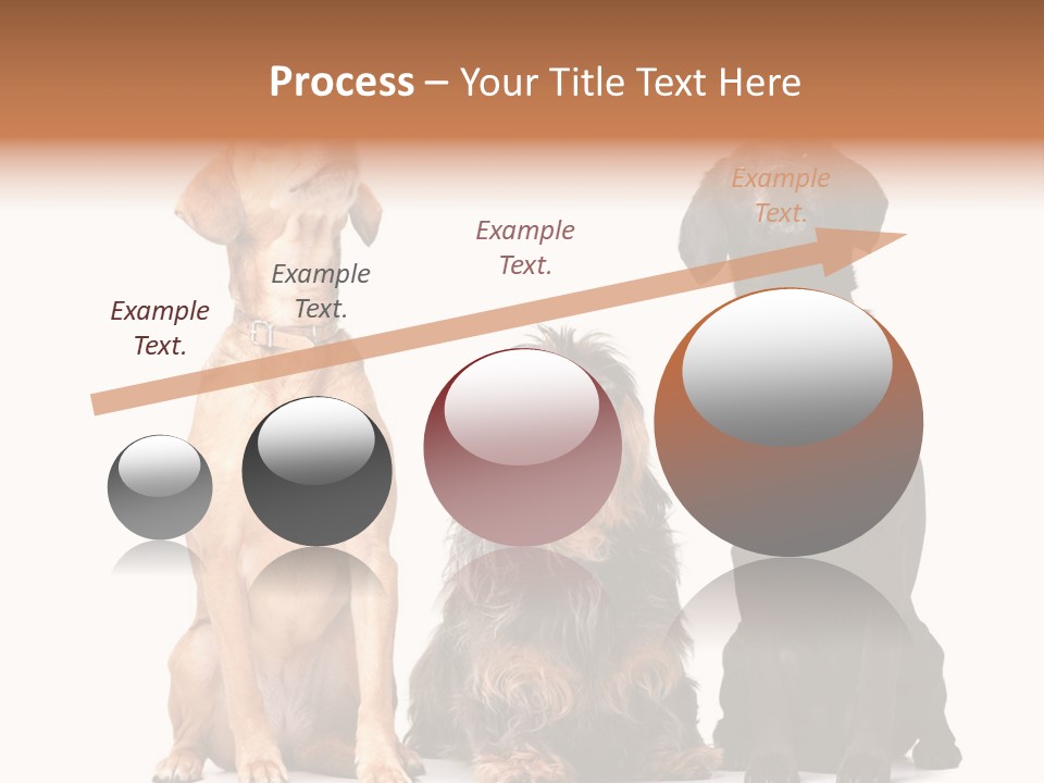 Juvenile California Condor PowerPoint Template