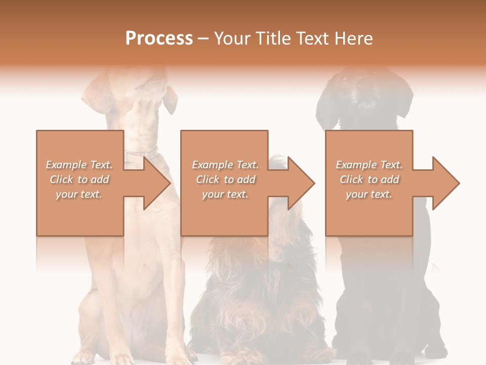 Juvenile California Condor PowerPoint Template