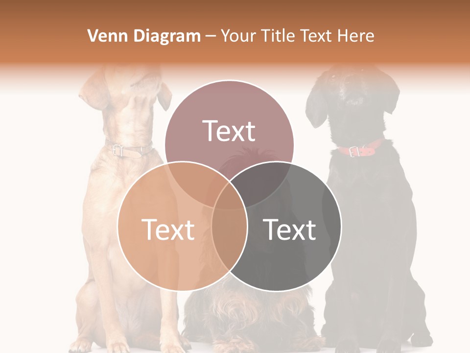 Juvenile California Condor PowerPoint Template