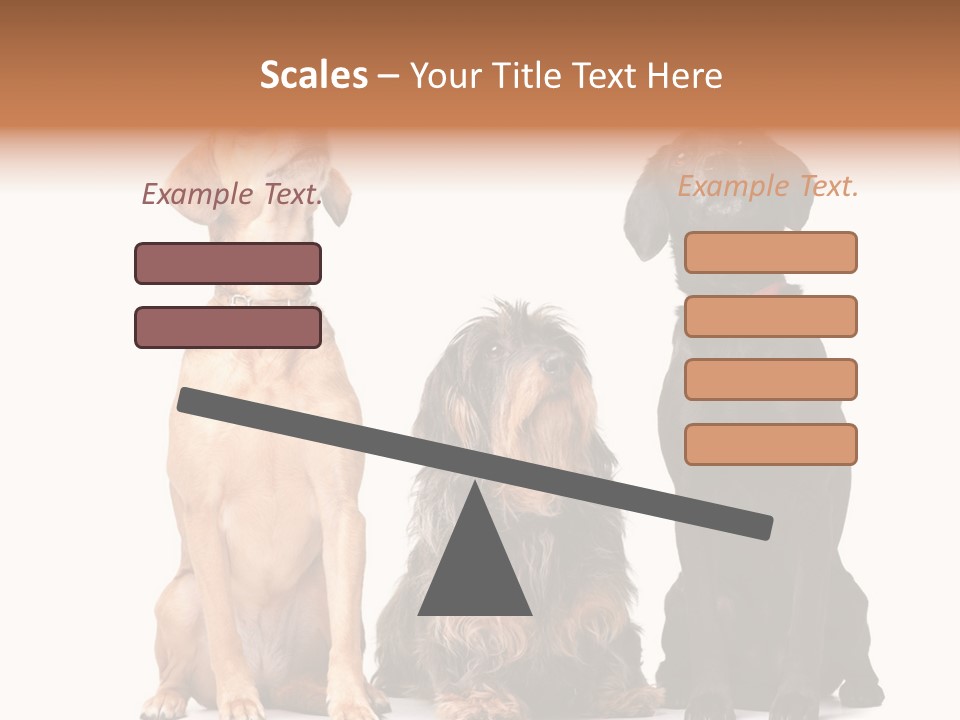 Juvenile California Condor PowerPoint Template