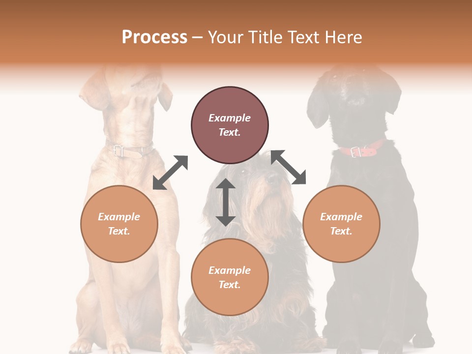 Juvenile California Condor PowerPoint Template