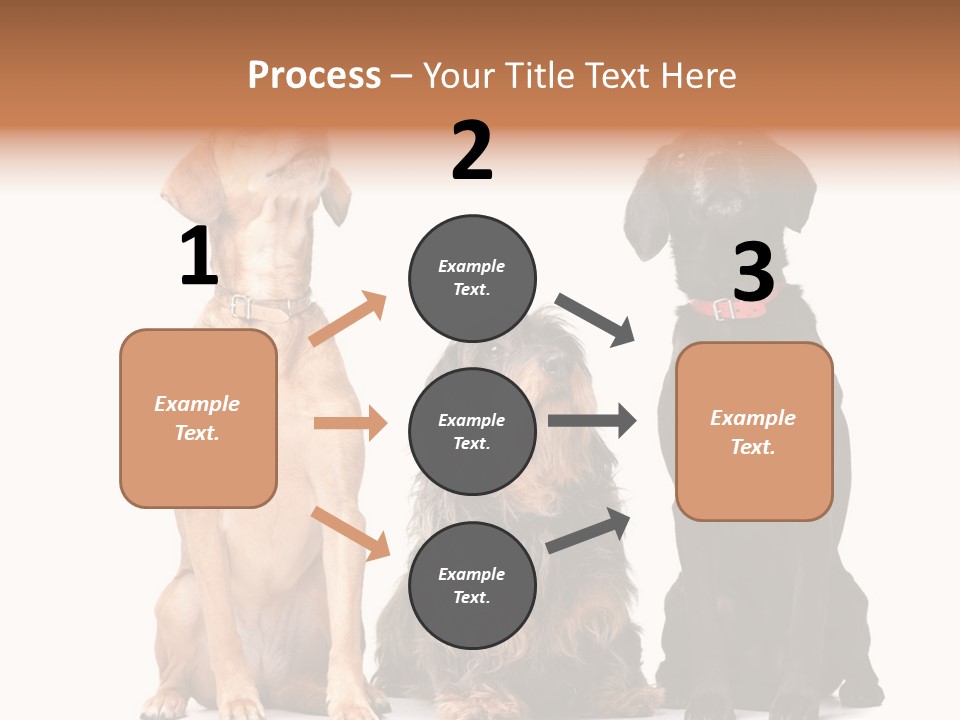 Juvenile California Condor PowerPoint Template