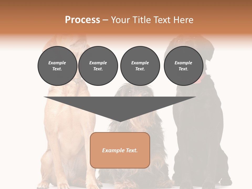 Juvenile California Condor PowerPoint Template