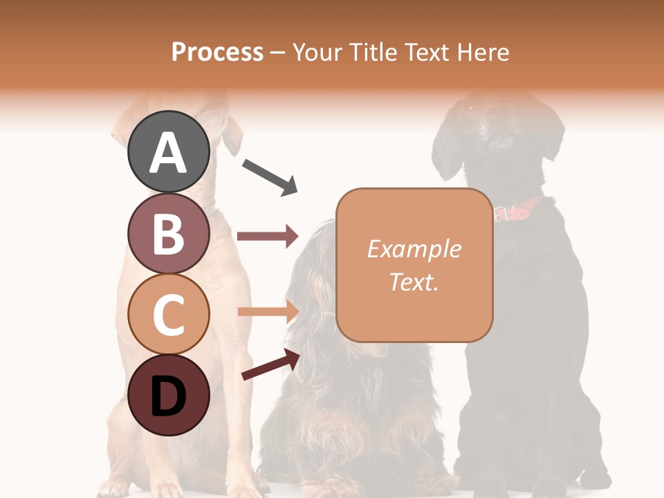 Juvenile California Condor PowerPoint Template