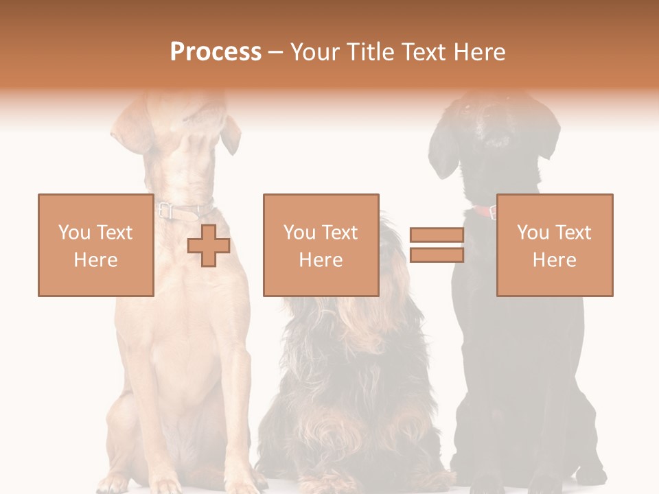Juvenile California Condor PowerPoint Template
