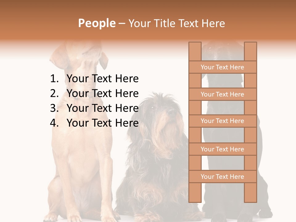 Juvenile California Condor PowerPoint Template