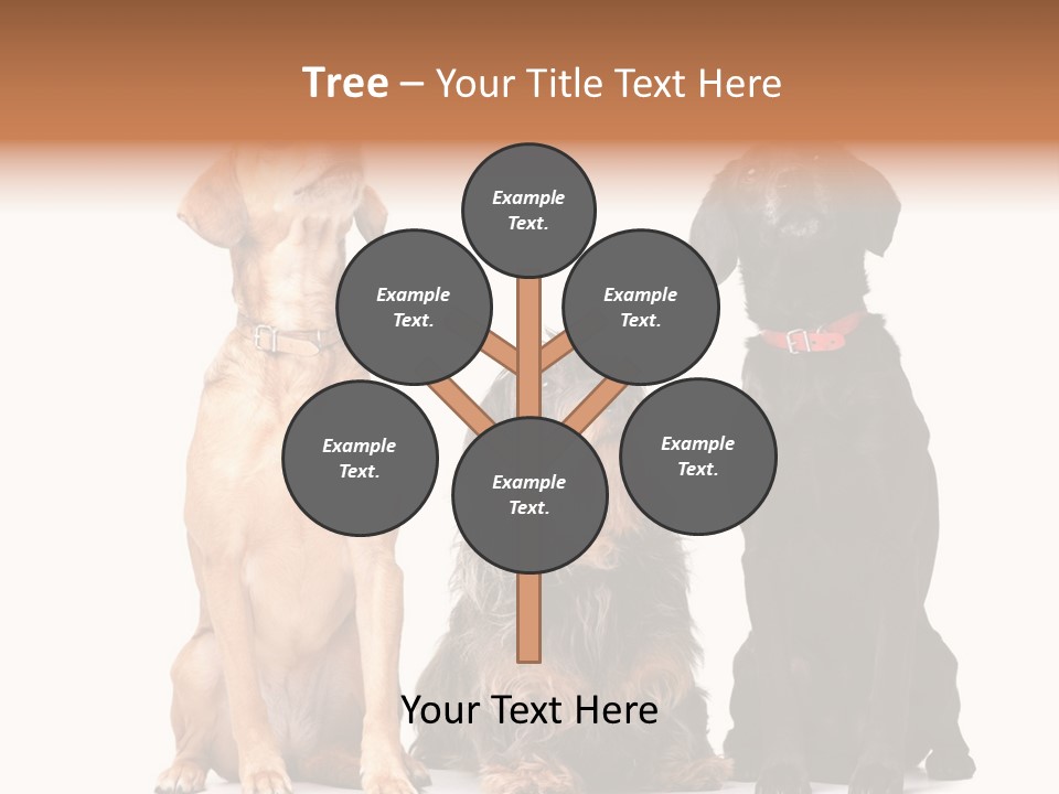 Juvenile California Condor PowerPoint Template