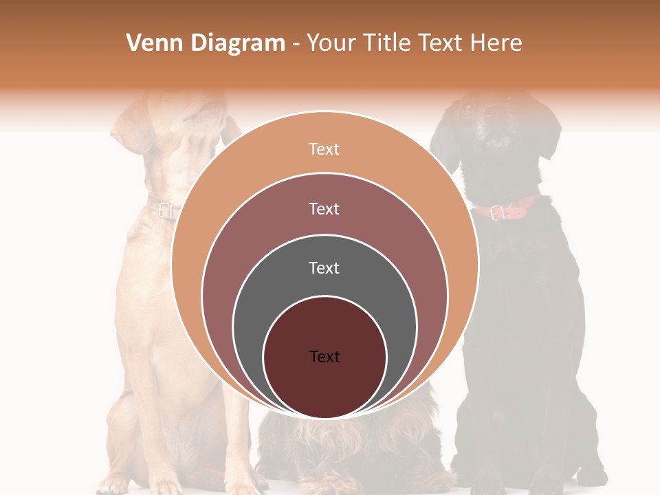 Juvenile California Condor PowerPoint Template