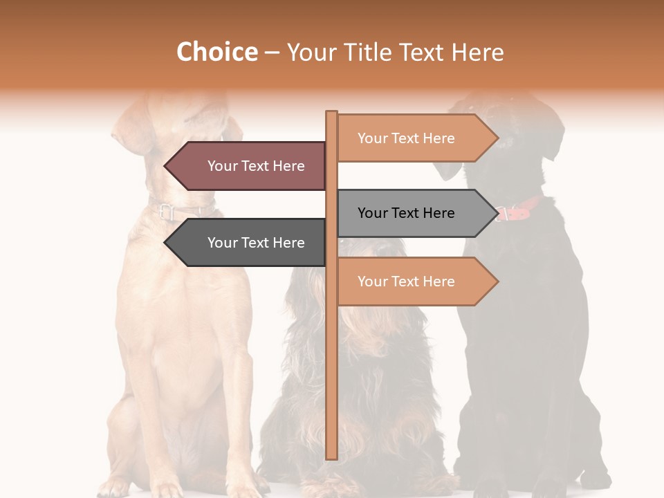 Juvenile California Condor PowerPoint Template