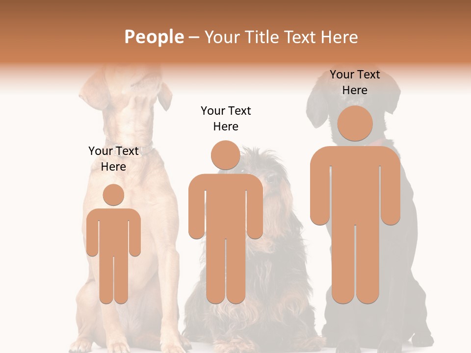 Juvenile California Condor PowerPoint Template