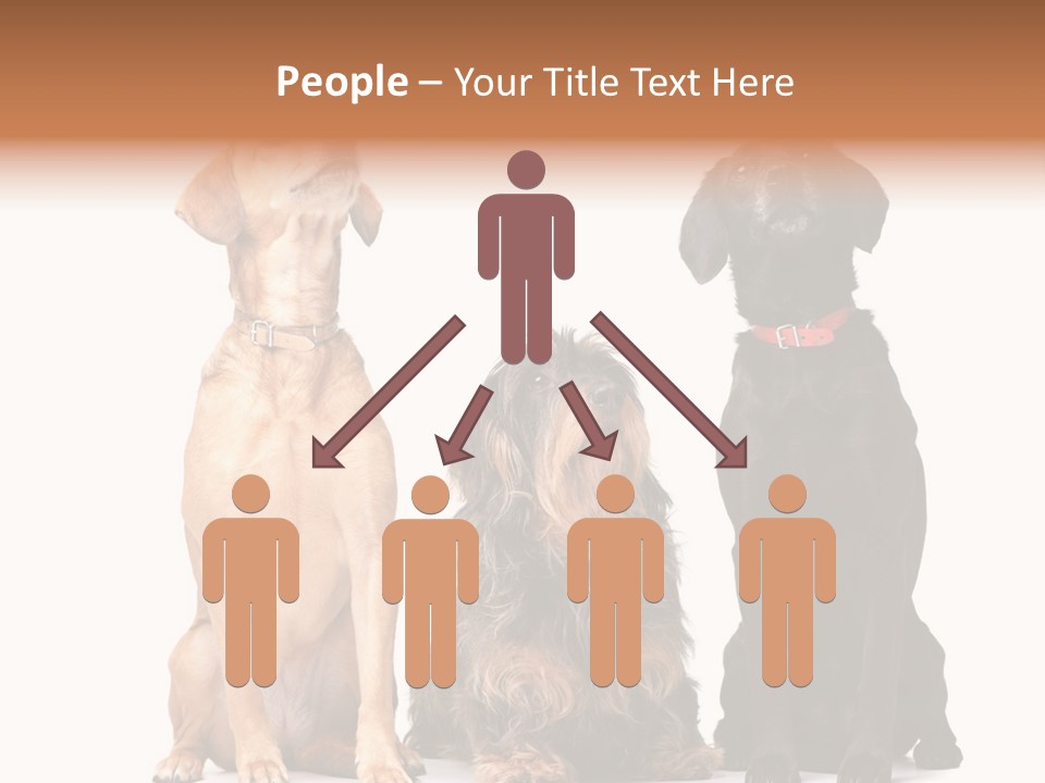 Juvenile California Condor PowerPoint Template