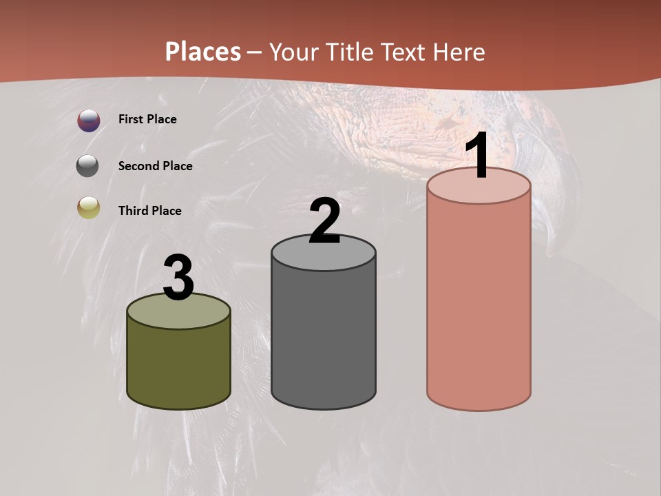 Juvenile California Condor PowerPoint Template