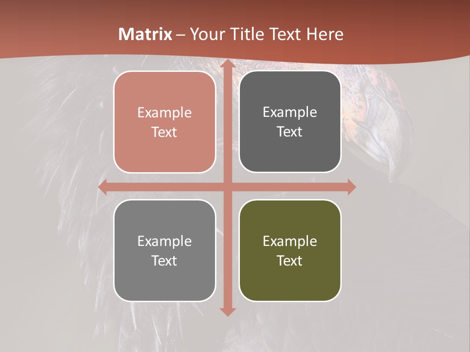 Juvenile California Condor PowerPoint Template