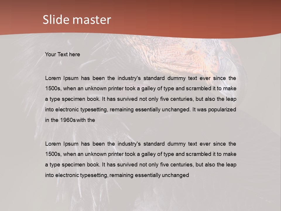 Juvenile California Condor PowerPoint Template